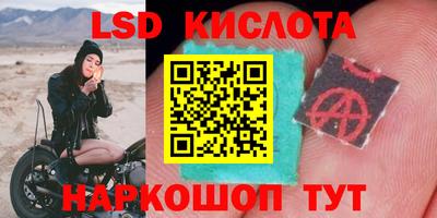Альфа ПВП Краснознаменск