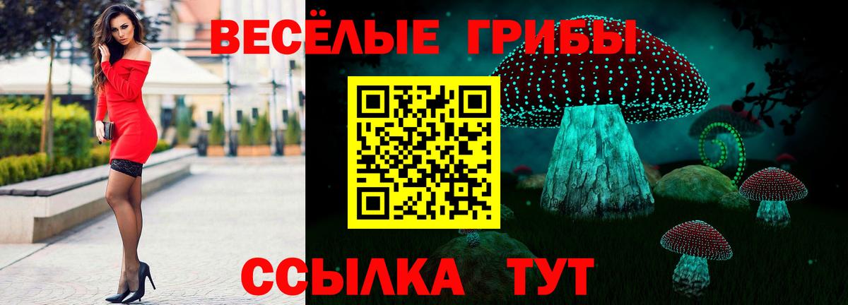 Галлюциногенные грибы Magic Shrooms Азов