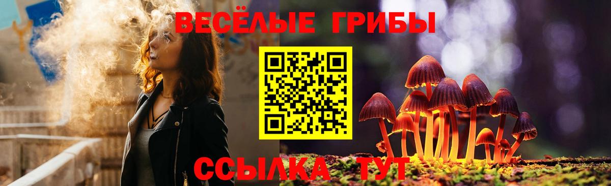 Азов  Псилоцибиновые грибы мицелий  Вход с VPN 